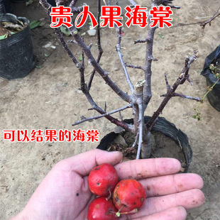 �F�˹��������k���҃������Ժ��Ļ����辰����ֲ�����_��4�����