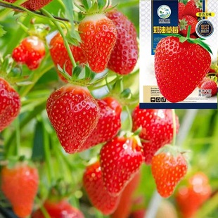 �ļ����ͼt��ݮ�N��ˮ����ݮ�N�Ѷ�������@�̨���Դ��＾�ɲ��N