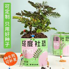 ���愓��NֲС������w��������ֲ����^ä�к��߲�DIY�N�ӶY��