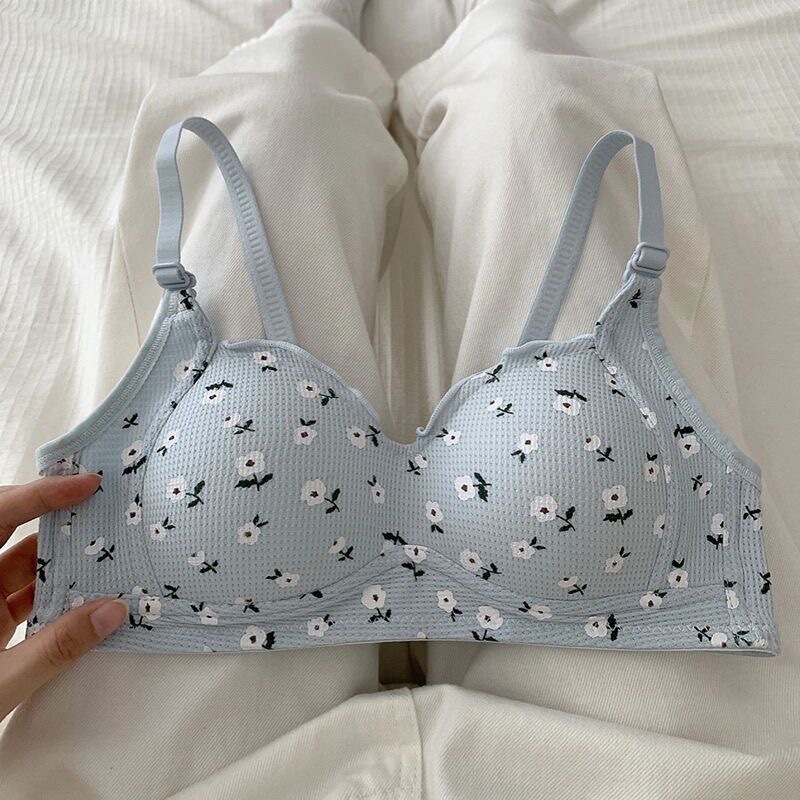 High-value Japanese Sweet Underwear Women's Small Chest Gathered Students High School Students No Rings Anti-sagging Bra Women