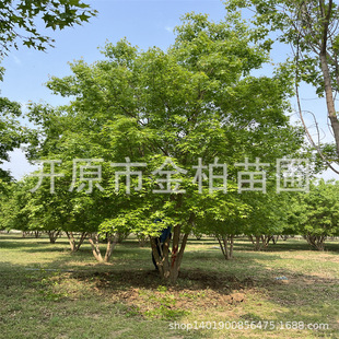 ����Ԫ����3-8�ז|��Ԫ�������羰�^����������Ա���б�h��Ǘ�