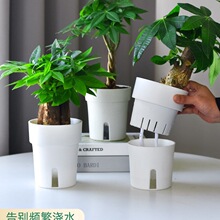 ���˾G�}ֲ���Ԅ���ˮ����͸��ˮ���������ϲ���ˮ�B��ƿ�G�j