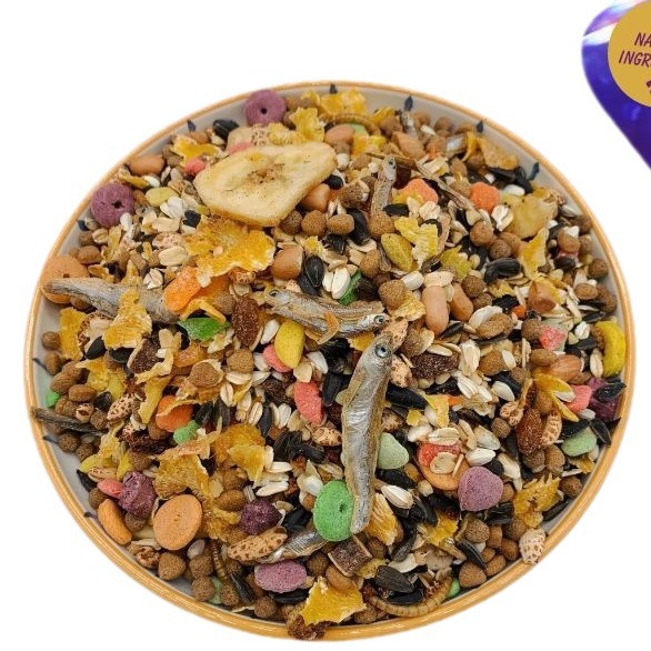 Comida para hámsteres, suministros para mascotas pequeñas, alimento para hámsteres, alimento de cereales mixtos, alimento de mariscos, alimento de frutas y verduras, gusanos de la harina, alimento seco para conejos y hámsteres dorados image 6