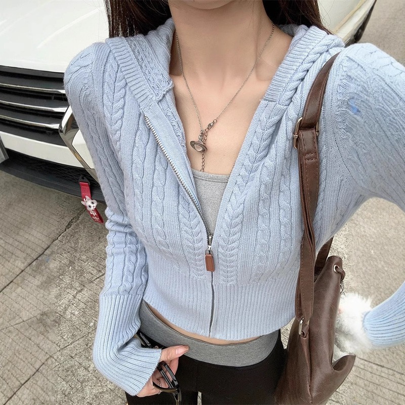 温柔气质温柔拉链麻花长袖毛衣外套女秋季显瘦短款针织开衫上衣|undefined