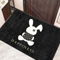 Simple cartoon entry floor mats for home use light luxury wear-resistant anti-slip floor mats entrance door dust-repellent dirty washable floor mats
