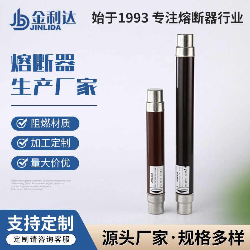厂家供应 XRNT1熔芯 户内高压限流 变压器 电机  互感器保护批发