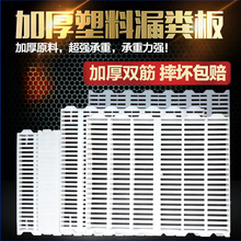 猪漏粪板仔猪漏粪板小猪保育床漏粪地板母猪产床漏粪板养殖垒德株