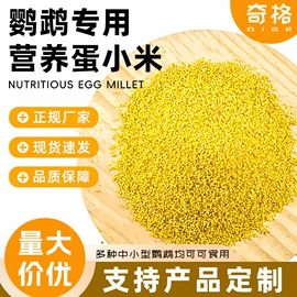 仓鼠零食;鸟食;龙猫零食