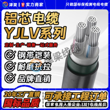 XоYJLV|3/4/5о10/16/25/35ƽ͉늙Cܿ늾