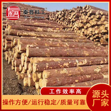 ���l�V���ͽ���ľ ���B�������Fɼľ�� Ҏ���Rȫ�߉������ͽ���ľ