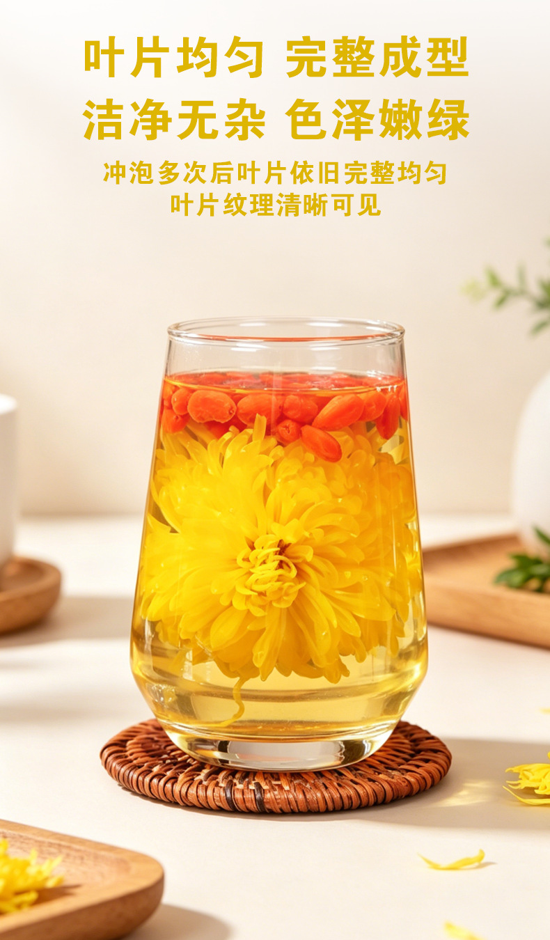 Golden Silk Imperial Chrysanthemum Tea (Chrysanthemum morifolium) — Premium Dried Flower Herbal Tea in use