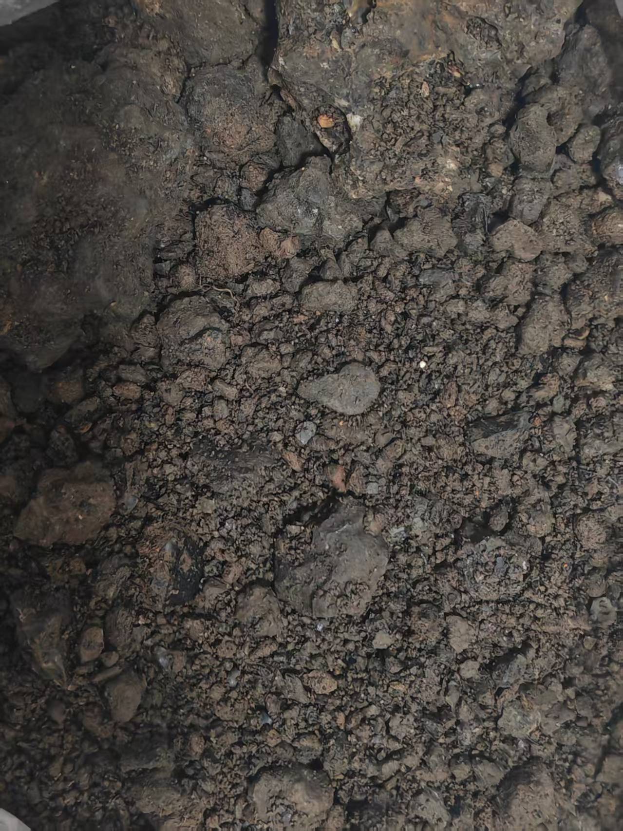 d1e1b41117861a160fcfb9acfb0717