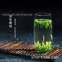 2023新茶浙江绿茶开化龙顶明前茶雀舌毛尖绿茶茶叶批发