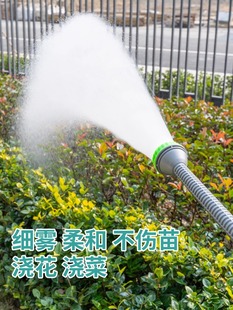 Agricultural sprinkler watering ground watering vegetables mushroom sprinkler garden watering atomized seedling shower water gun 4/6 minutes 1 inch