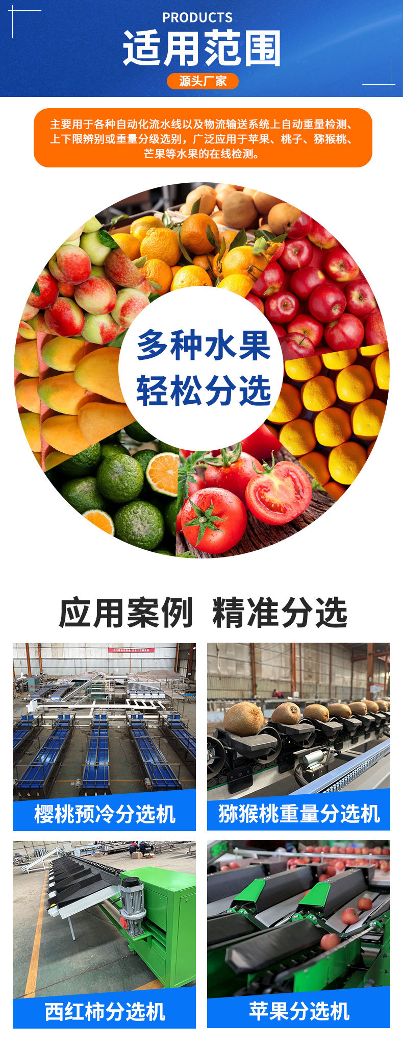 Fruit_06.jpg