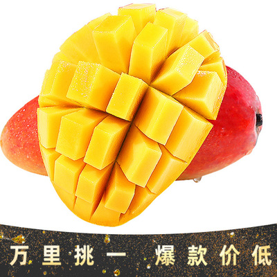 现货海南贵妃芒新鲜小果热带水果非树上熟贵妃芒【拍10斤发1箱】|ms