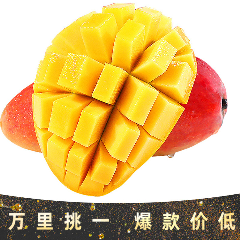 现货海南贵妃芒新鲜小果热带水果非树上熟贵妃芒【拍10斤发1箱】|ms