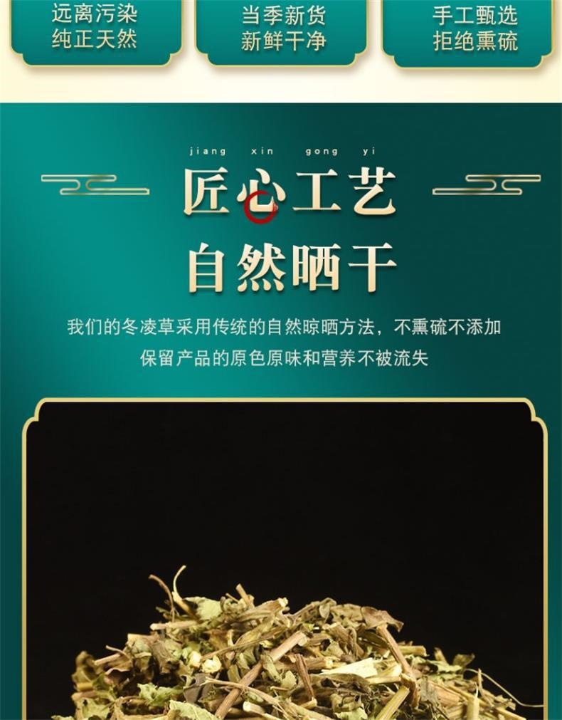 Dong Ling Cao Herbal Tea Blend 500g Dried Rabdosia Rubescens Leaves for Daily Infusion key features
