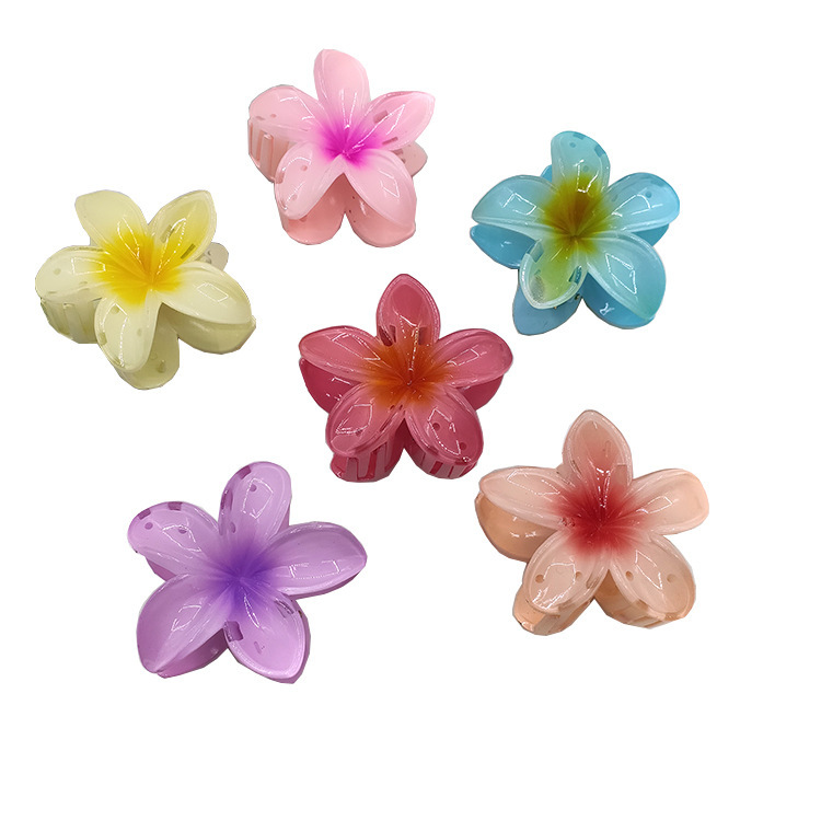 国境を越えたアマゾンの卵の花がグラデーションの花のキャンディー色の紫荊花の後頭部をつかんでサメの花を挟んで髪を伸ばします。|undefined