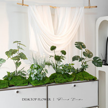 ����̦�\�݅���ֲ�ﾰ�^�Շ��b�С�ͷ���Gֲ������滨�S�����l