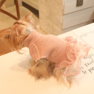 ��ɫ���ϲ���䱳��ȹ؈����ܼs���Ĺ������·�