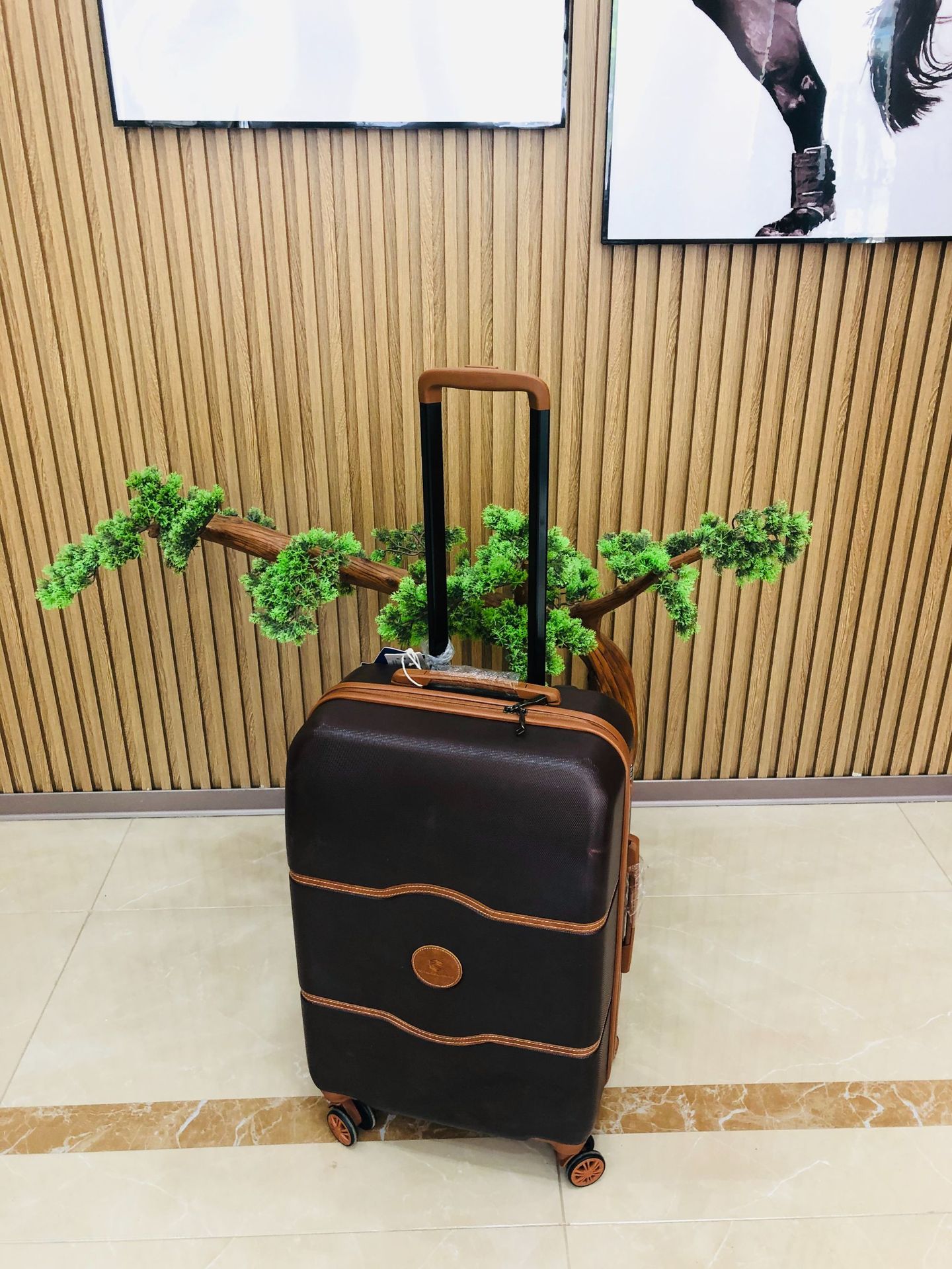 f3d37dc2b1149a87e6bc0175c0f1dc