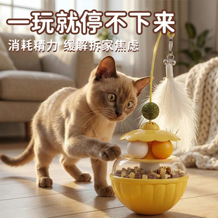 ؈��߻��겻���̶�؈����؈���������©ʳ�D�P�␞����؈�����