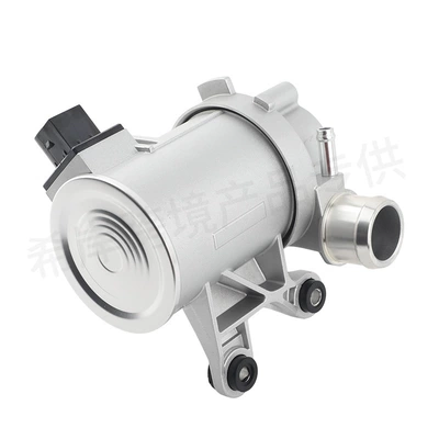 Mouth, Water pump