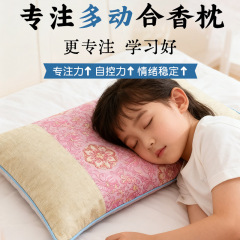 手工合香丸中药枕头儿童抽动症多动症小孩注意力不集中贴障碍缺陷