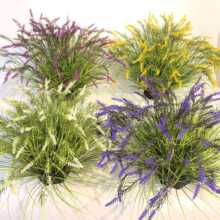 ���l�羳�������޹�²��JȔ�ݷ���Gֲ�Ҿ�ͥԺ�쾰�b��Ĕ[��