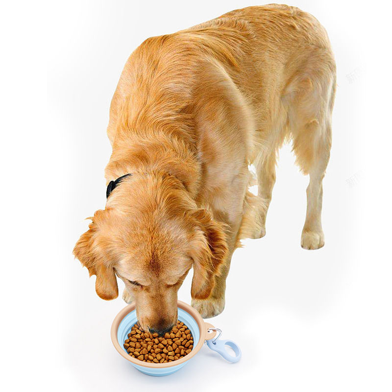 5c806023-0961-421f-b2ef-396794b3b3e1.jpe