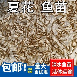 ˮ���~�����l�a�~�~���~���^�����������~���~����~�N���~