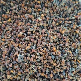 ɳ�� �½�����ɳ�����~�� ɳ��������ș�� ����� ���N�䱳