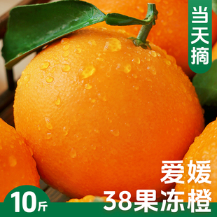 �����|���M��Ě��20���b��� ���rˮ�������M��Ě�ȬFժ�������l