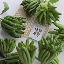 ���ָ��r������ˮ���k���҃��^�p�㎧֦ˮ�B����ֹ�����B�Gֲ