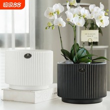 ���L�մɻ�������҃Ⱥڰ׻Һ��s�lؔ������m���m����Gֲ������