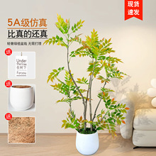 ˇ�������Gֲ�㴻���쾰���Լ٘��҃Ș����½��䙻��ֲ�߷���