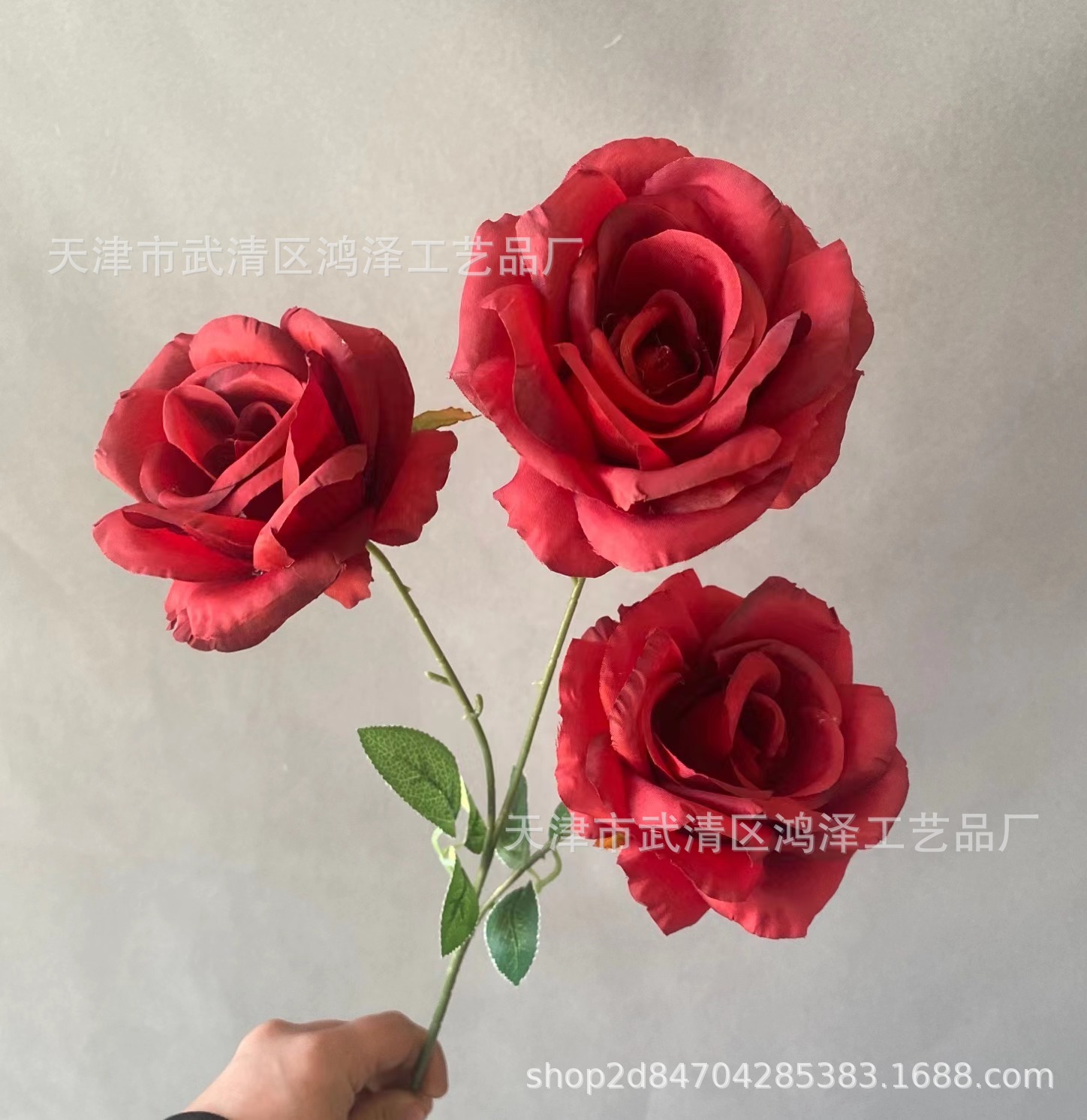 3 머리 안나 메이