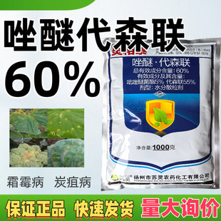 �`��̩60%���Ѵ�ɭ ���S��̿�Ҳ� ���{�໨��˪ù�� ��Ʒ������