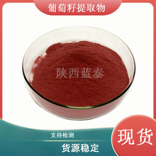 葡萄籽提取物原花青素95% 葡萄籽提取物前花青素葡萄籽粉