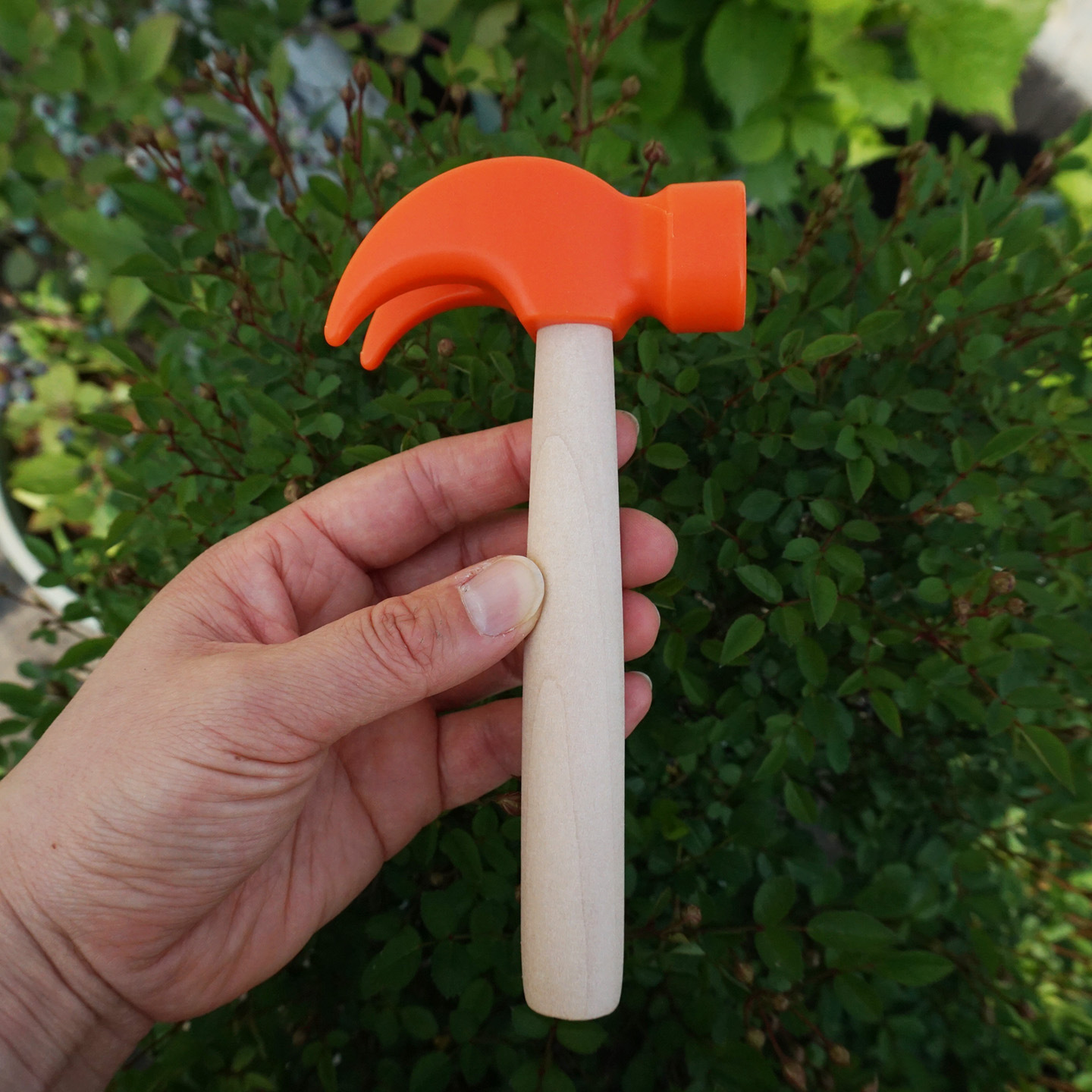 Martillo de uña naranja
