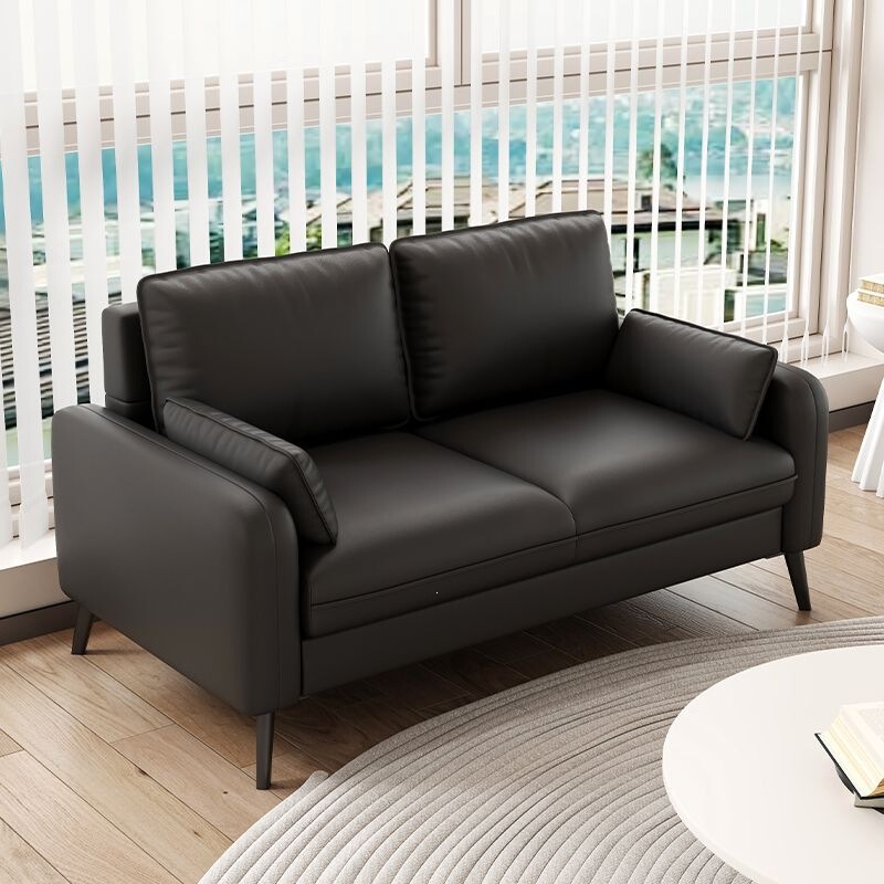 Two-seater small apartment sofa for living room, rental house, clothing store, beauty salon, office rest area, fabric sofa Two-seater small apartment sofa for living room, rental house, clothing store, beauty salon, office rest area, fabric sofa