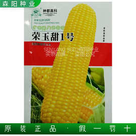 种都荣玉甜1号玉米种子超甜水果玉米万甜2000国审鲜食黄甜玉米种