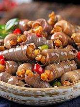 山东麻辣钉螺海螺丝即食香辣海锥醉钉锥螺网红捞汁小海鲜熟食袋装