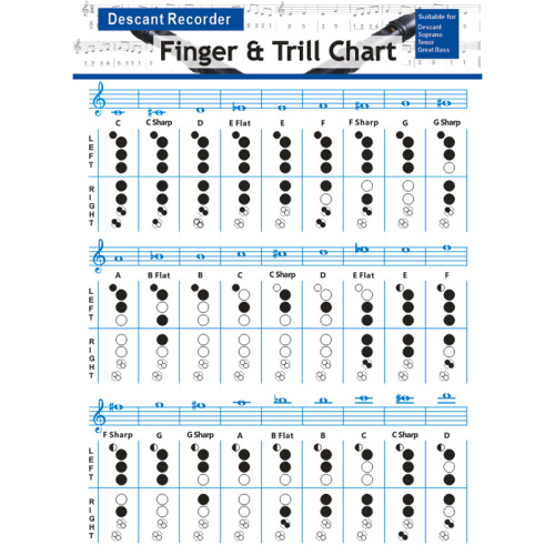 Wholesale bass recorder chord practice chart 8-hole eight-hole recorder fingering chart recorder chord score