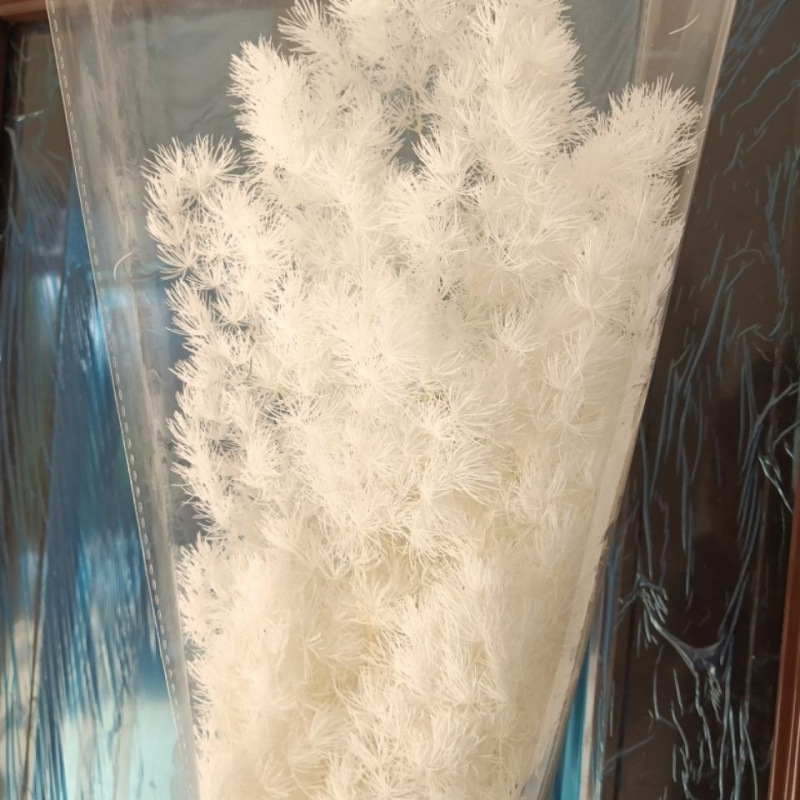 오프화이트 85-105g 드라이플라워백