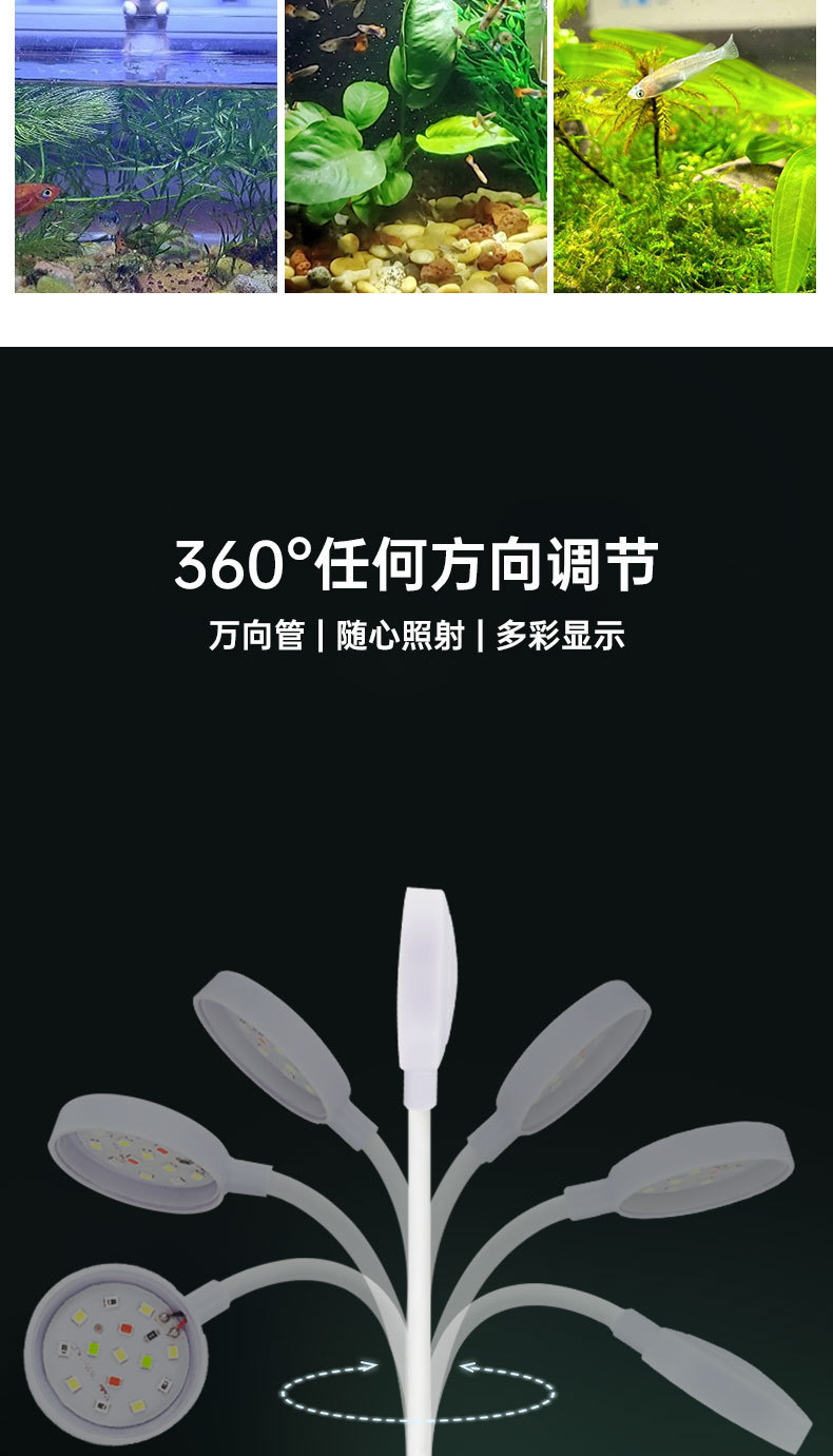 灯详情_03.jpg