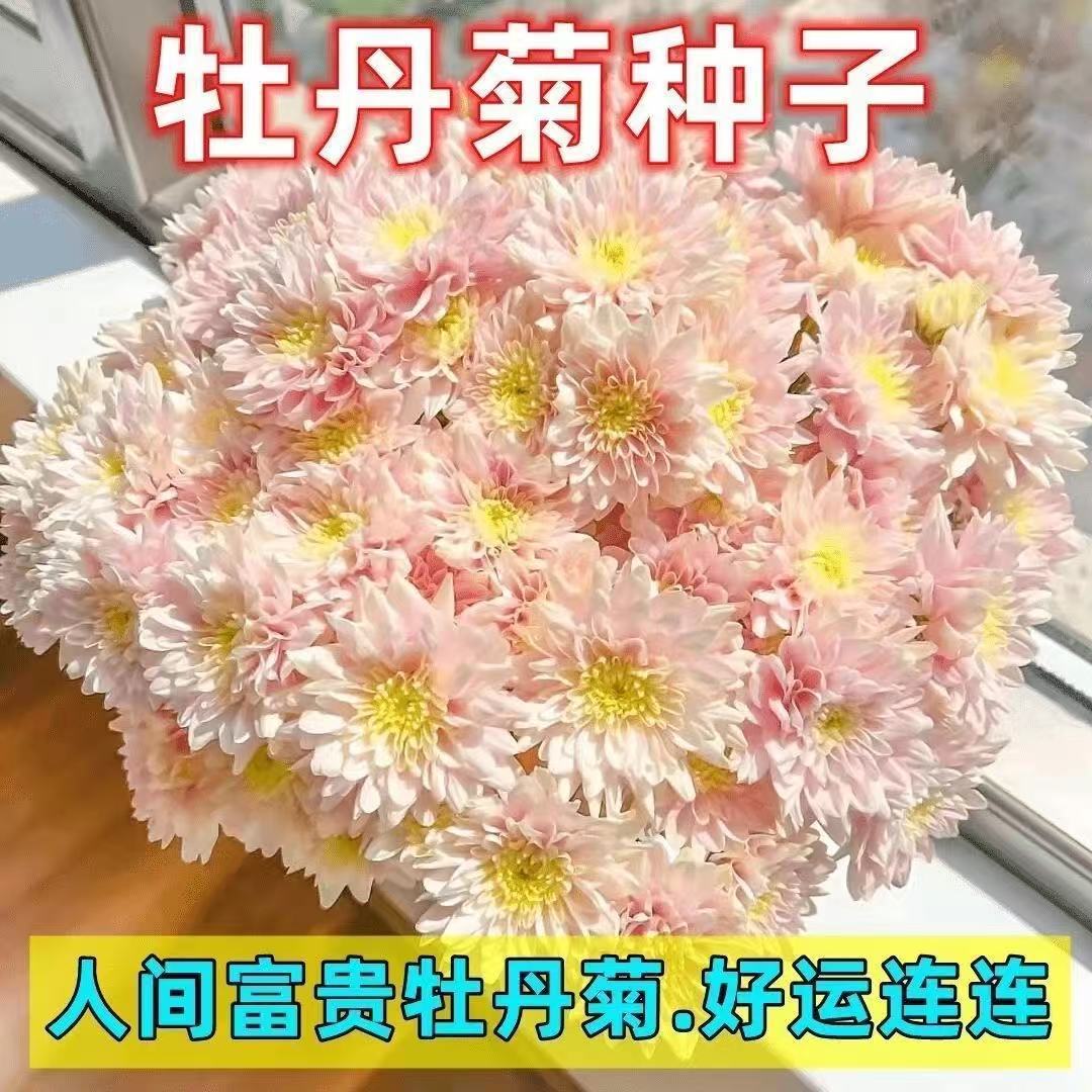 1329860246abe207328caa700757ba