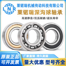 LNRRSRS 6200 6201 6202 6203 6204ZZ 2RZ