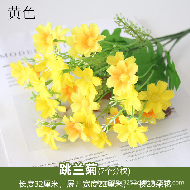 Saltando crisantemo amarillo